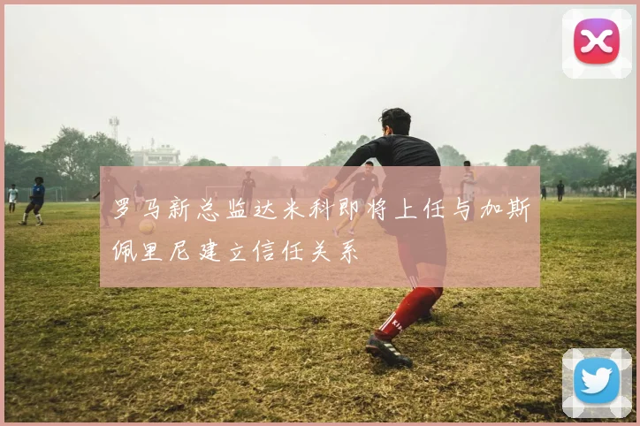 罗马新总监达米科即将上任与加斯佩里尼建立信任关系